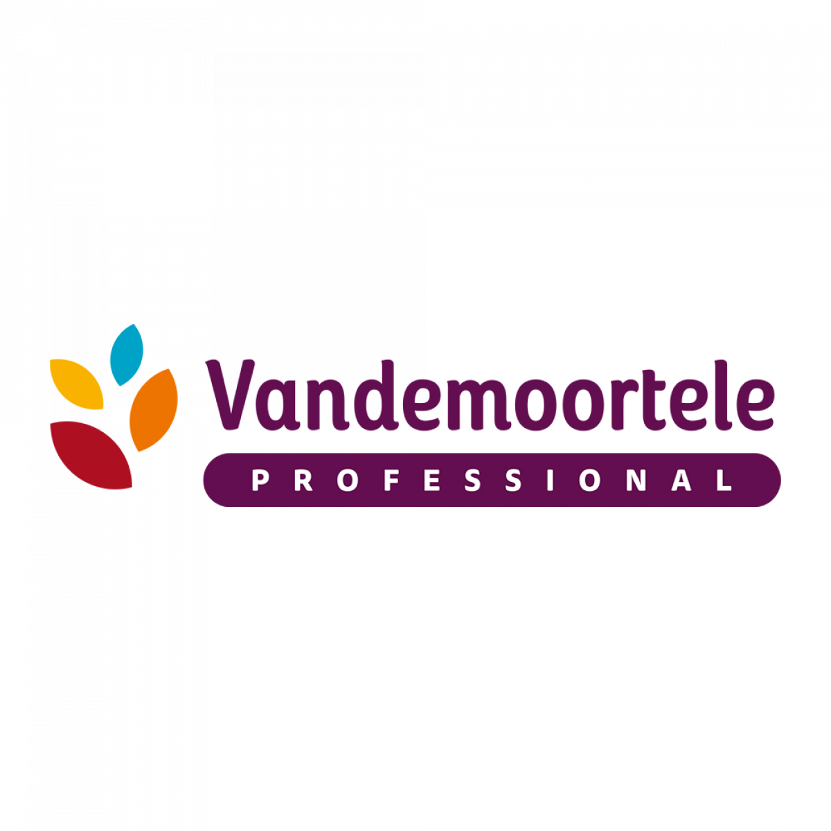 Vandemoortele Professional