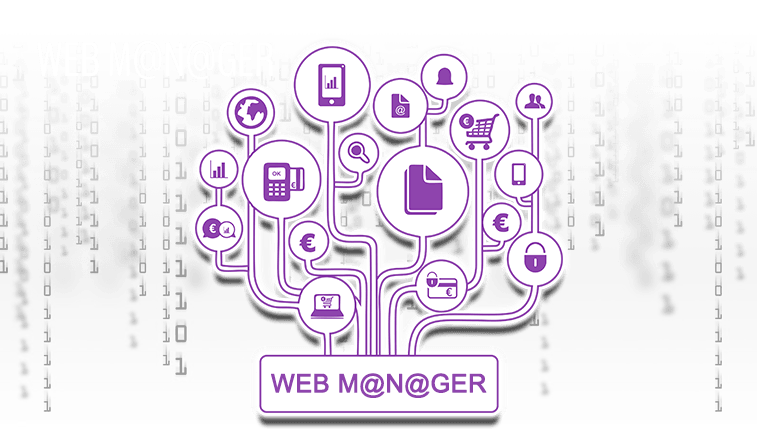 WEB MANAGER Software